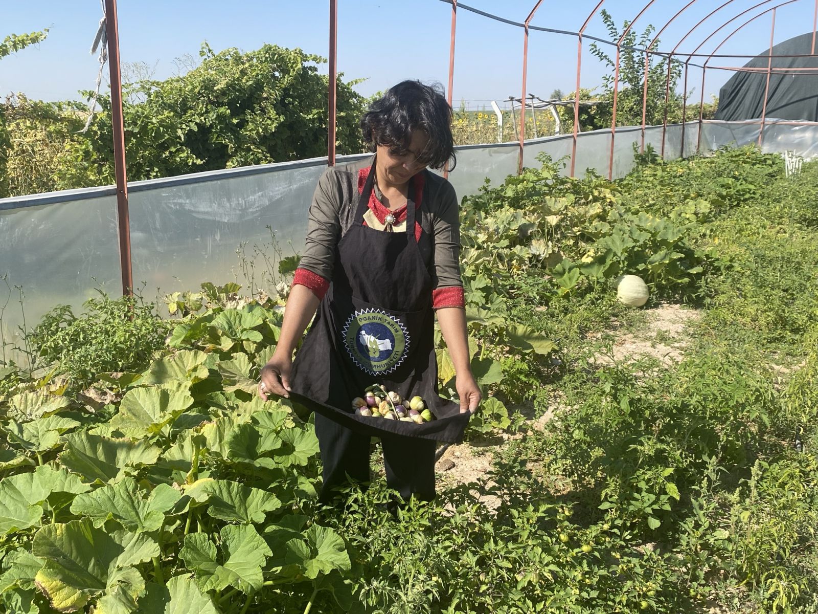 Yılda 8 ton üretiyor, 150-200 bin arasında kar kalıyor